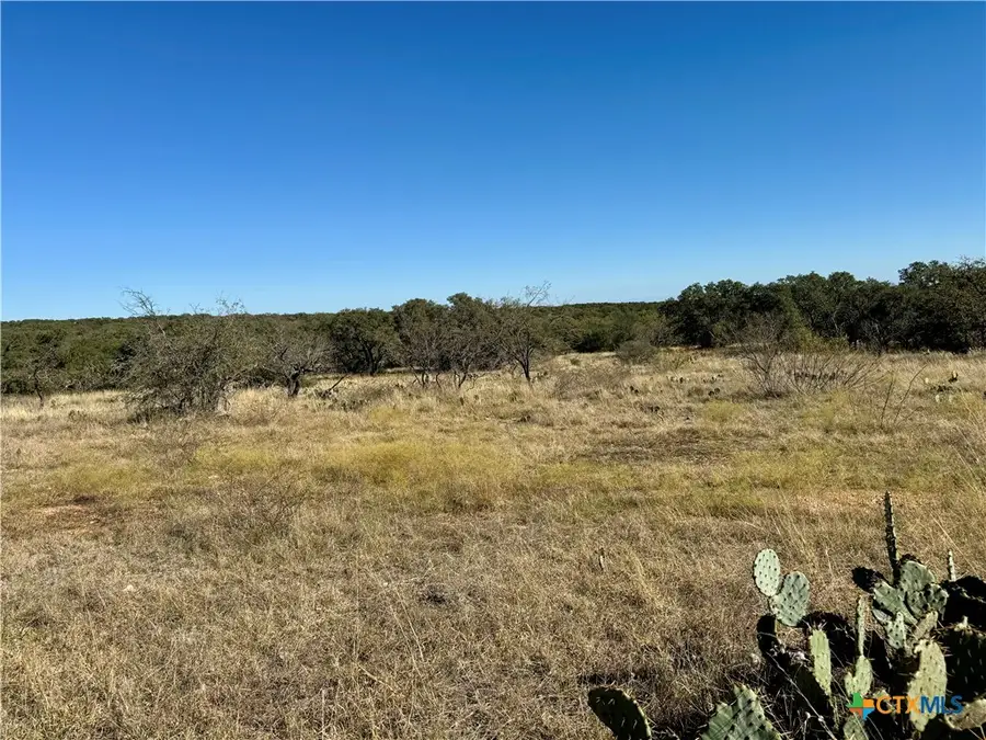Lot 37 Buck Run Rd., San Saba, TX 76877 - #3