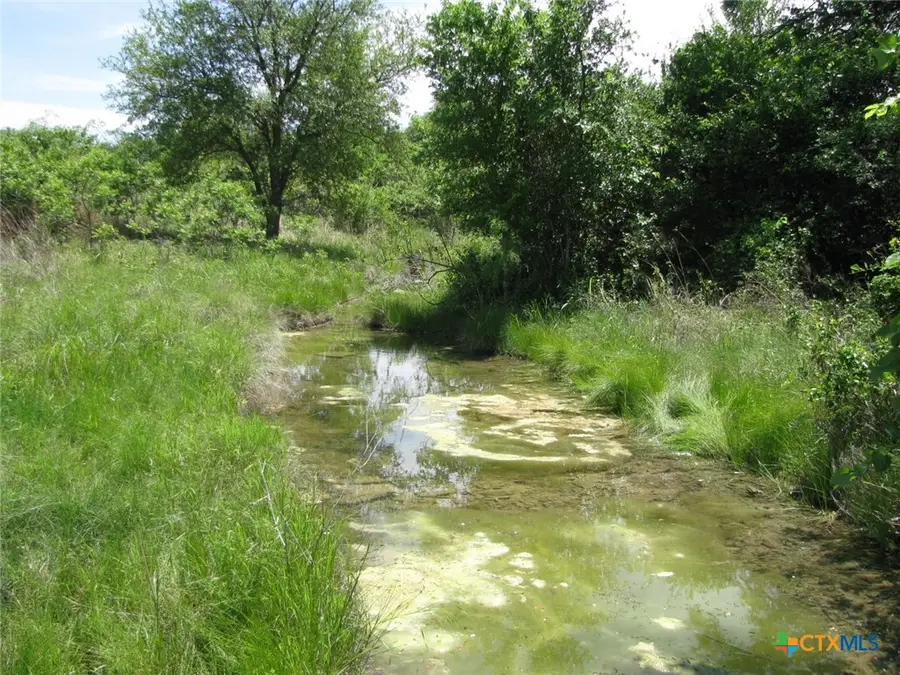 TBD Fm 2842, Hamilton, TX 76531 - #3