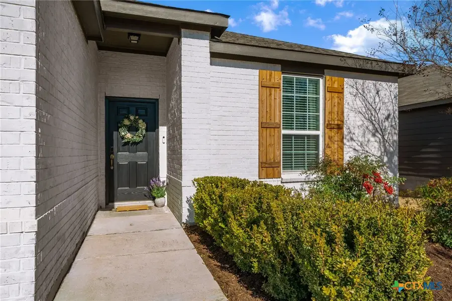 610 Ridgehorn Drive, New Braunfels, TX 78130 - #3