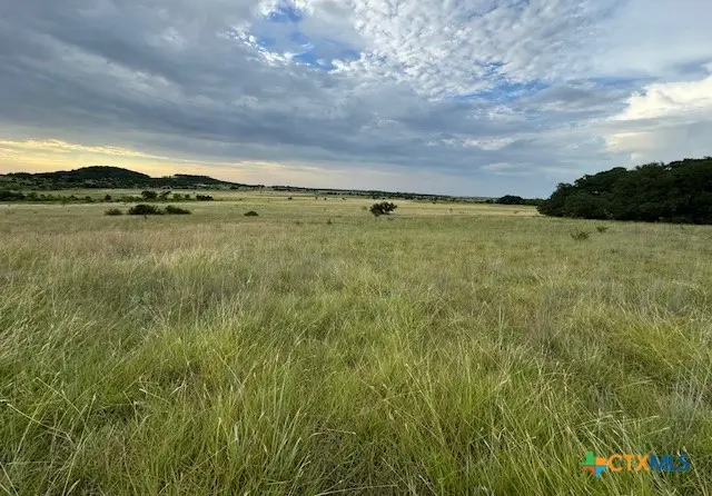 TBD County Road 139, Gatesville, TX 76528 - #2
