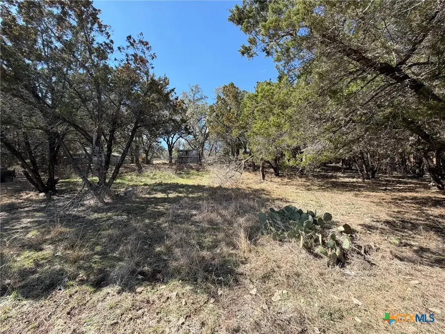 621 Royal Oak Drive, Canyon Lake, TX 78133 - #2