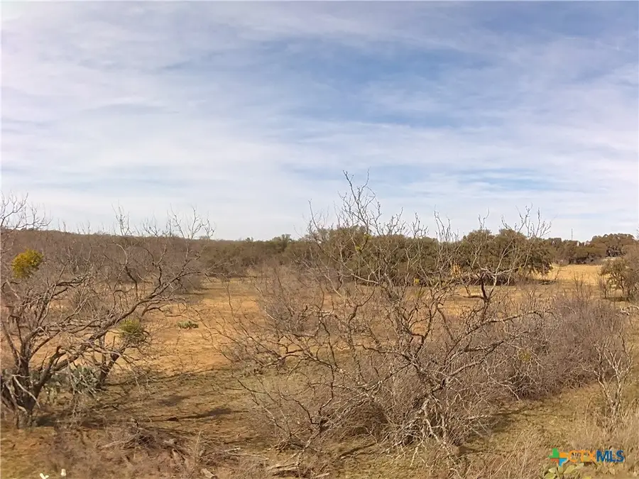 1349 County Road 152, Brownwood, TX 76801 - #3