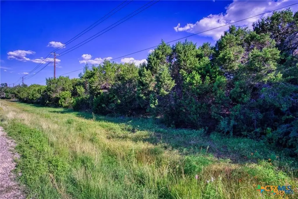 12115 Fm 32, Fischer, TX 78623 - #1