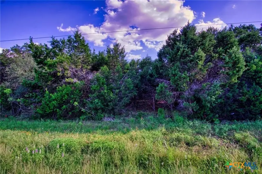 12115 Fm 32, Fischer, TX 78623 - #2