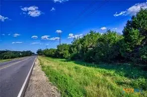 12115 Fm 32, Fischer, TX 78623 - #3