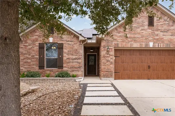 314 Autumn Willow Drive, San Marcos, TX 78666
