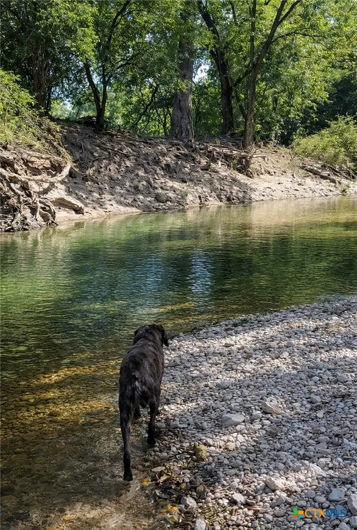 Unassigned County Road 301, Oglesby, TX 76561 - #1