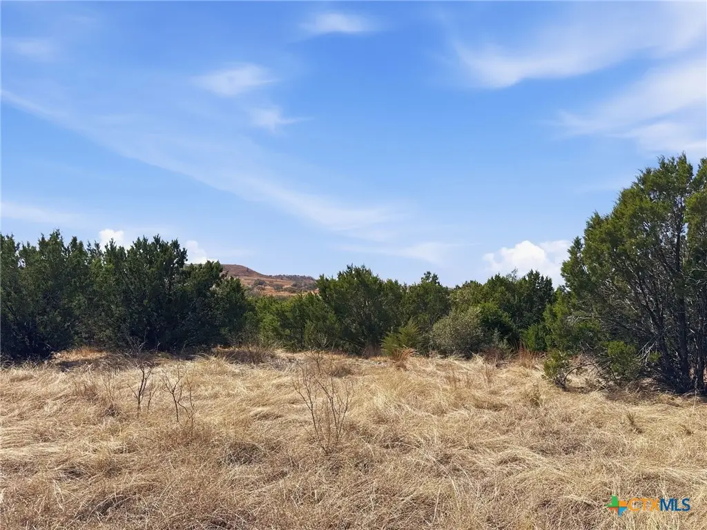 Lot 8 Ph 5 Private Road, Evant, TX 76525 - #1