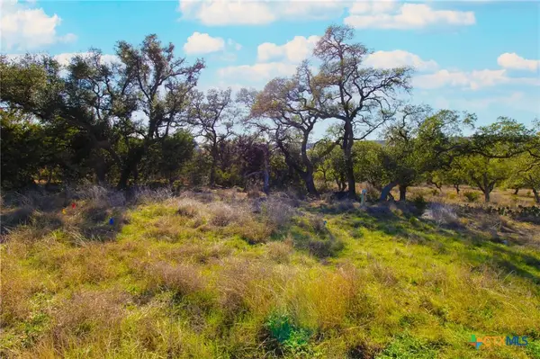 436 Cavy Road, New Braunfels, TX 78132