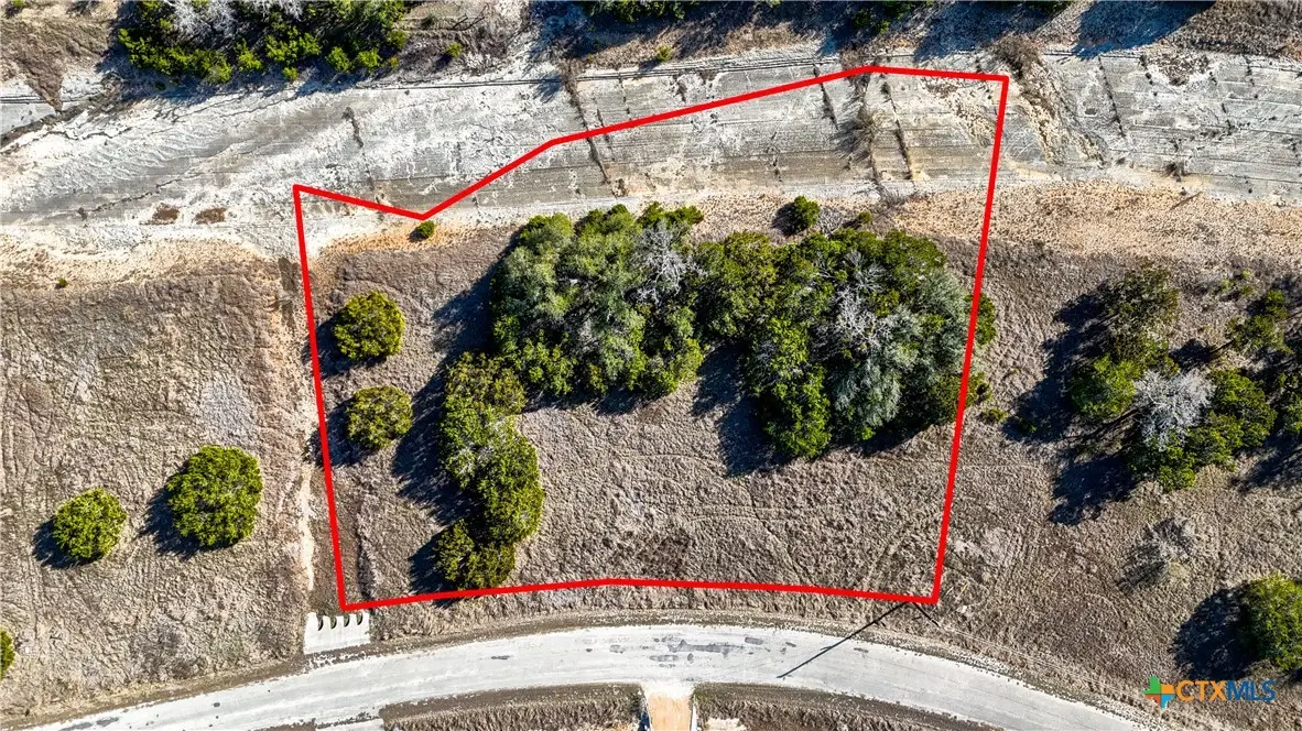 113 Liberty Bell Lane, Fischer, TX 78623 - #1