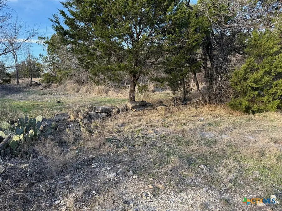 Unassigned Fm 1783, Gatesville, TX 76528 - #2