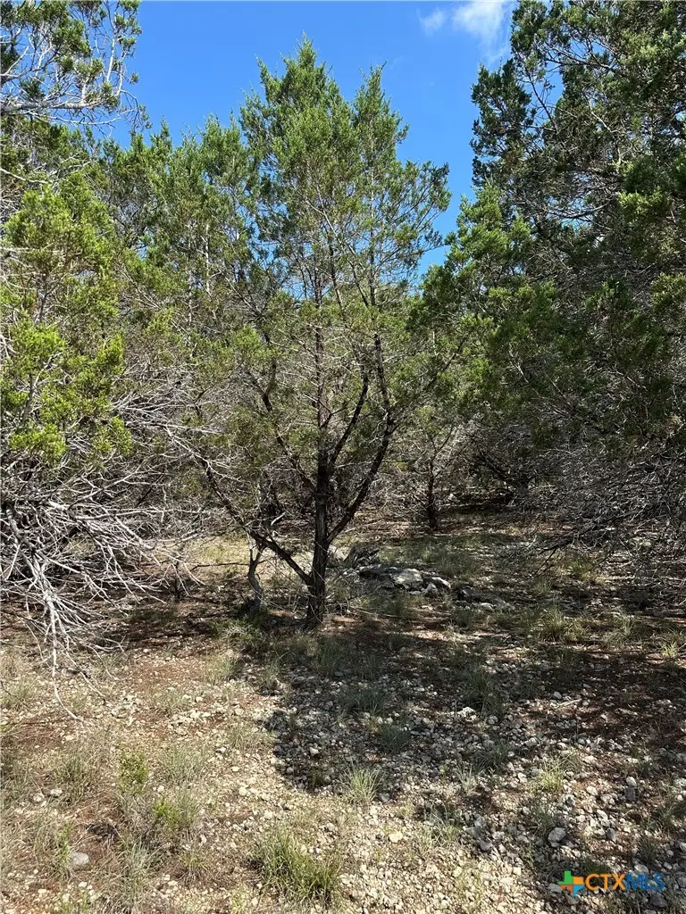 121 Agarita Drive, Spring Branch, TX 78070 - #3