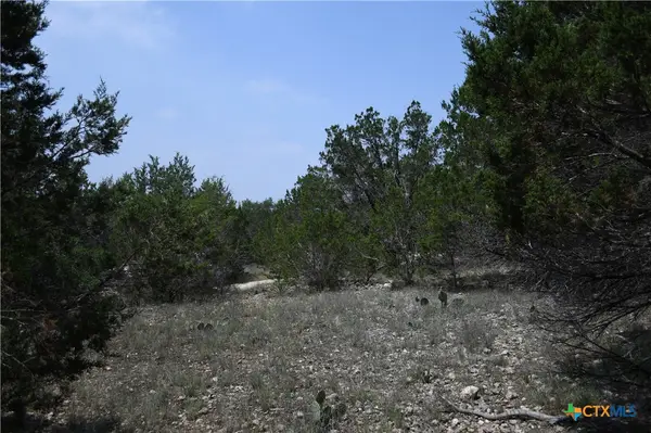 135 Agarita Drive, Spring Branch, TX 78070