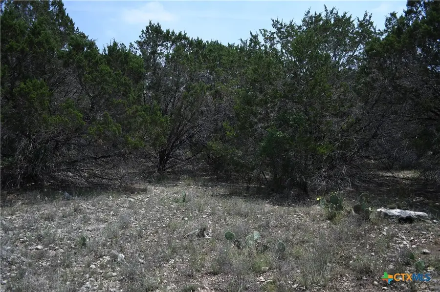 135 Agarita Drive, Spring Branch, TX 78070 - #2