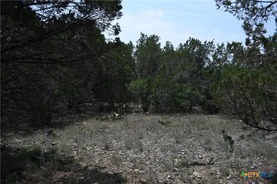 135 Agarita Drive, Spring Branch, TX 78070 - #3
