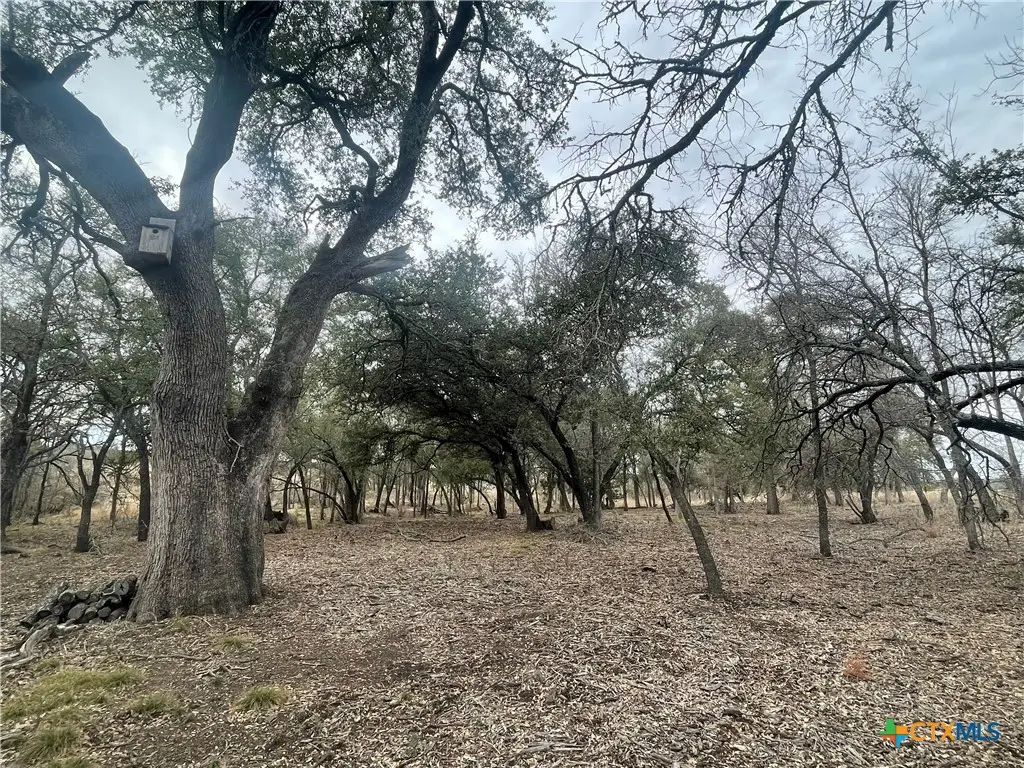 13203 Pr 3642, Lampasas, TX 76550 - #1