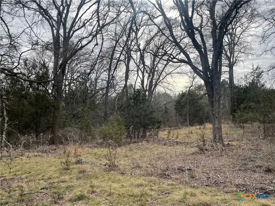 13203 Pr 3642, Lampasas, TX 76550 - #2