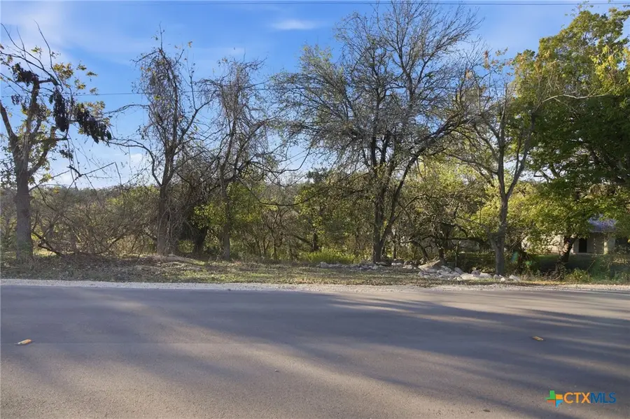 1461 White Water Road, New Braunfels, TX 78132 - #3