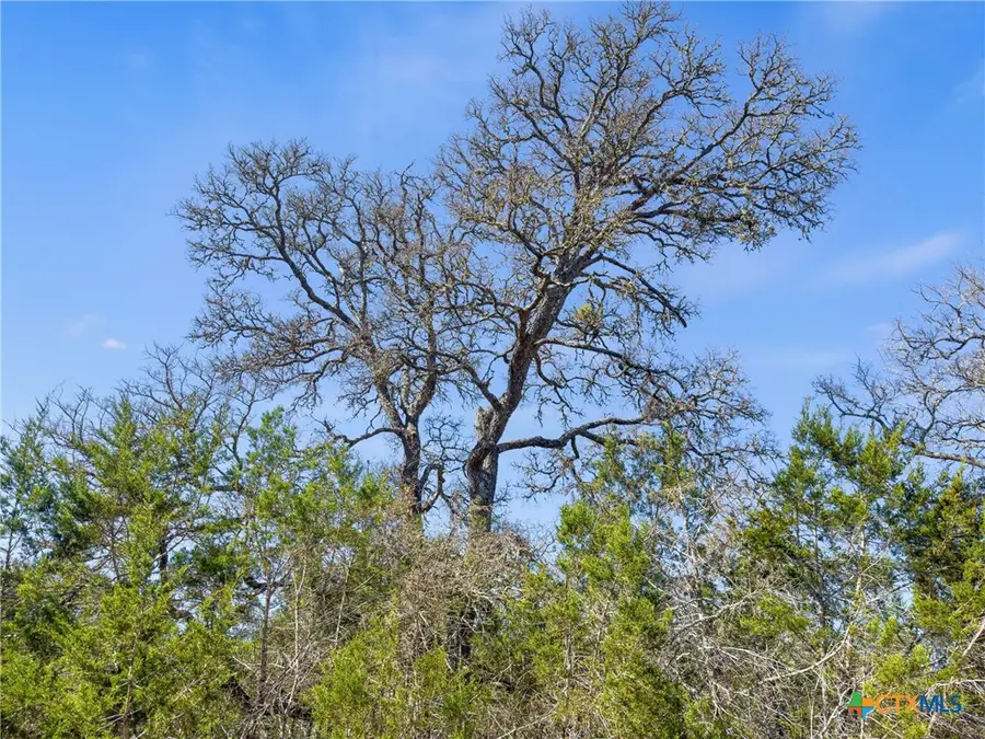 535 Left Fork Place, Spring Branch, TX 78070 - #3