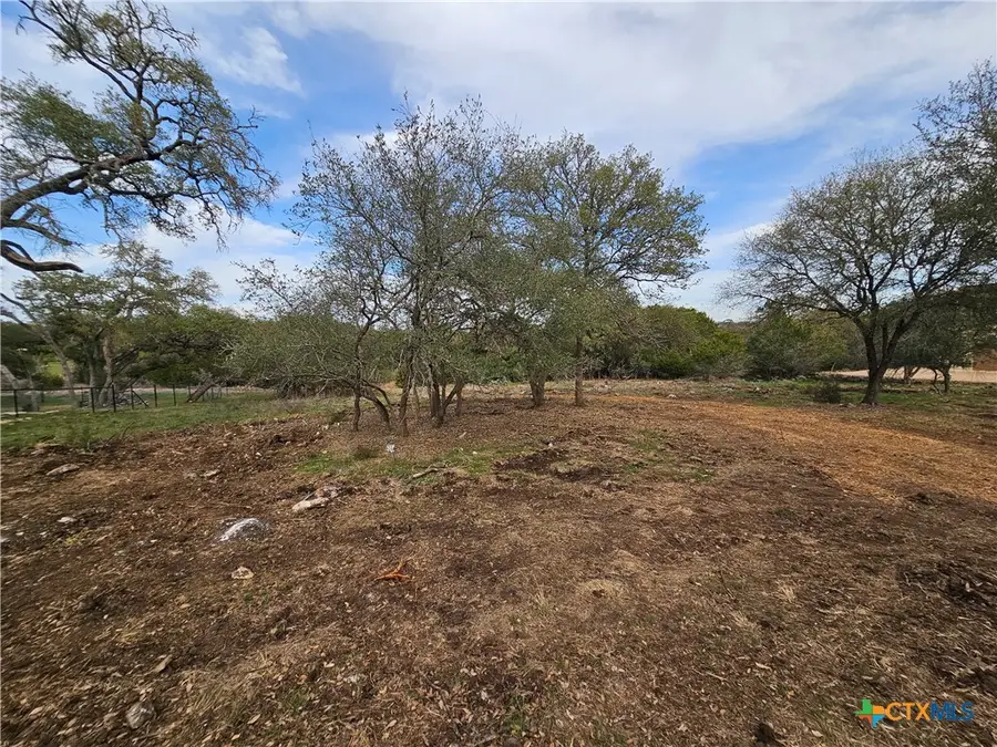 206 Falling Hills, New Braunfels, TX 78132 - #3