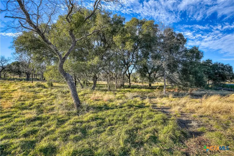 1010 Ranch Road 2831, Horseshoe Bay, TX 78657 - #3