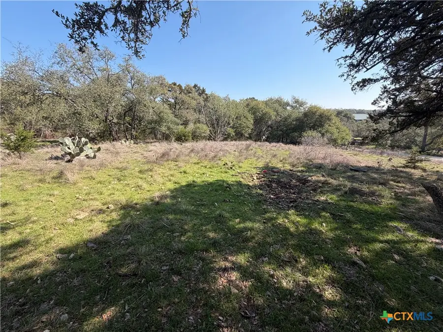 2883 Wegner Road, New Braunfels, TX 78132 - #3