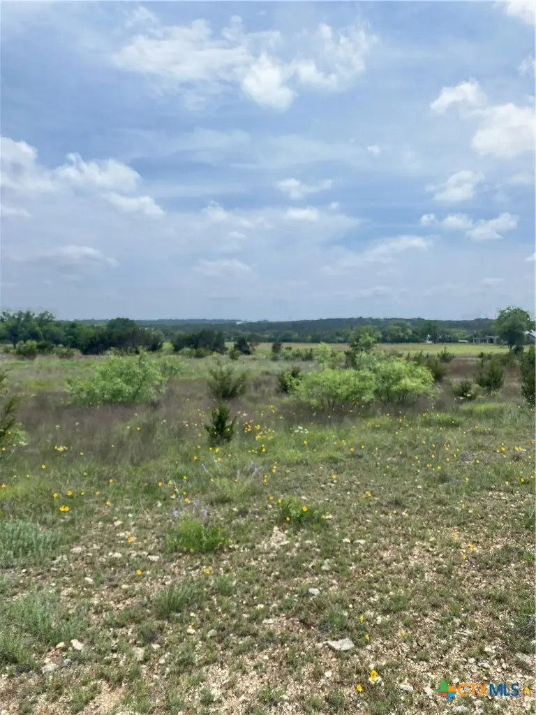 225 County Road 2227, Lampasas, TX 76550 - #2