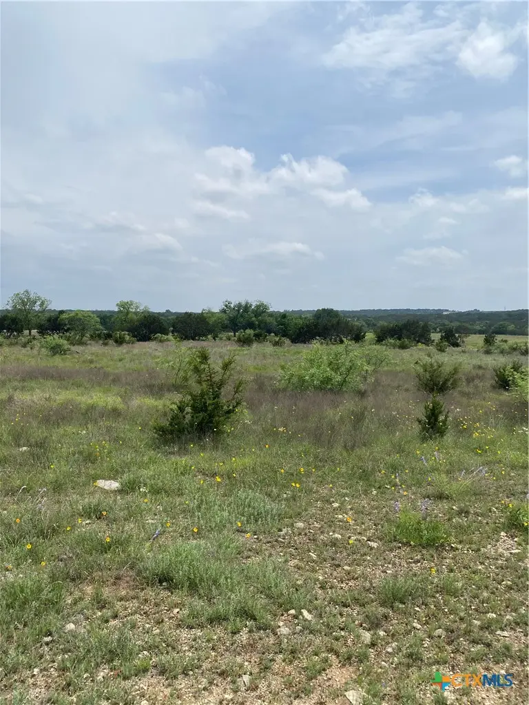 225 County Road 2227, Lampasas, TX 76550 - #3