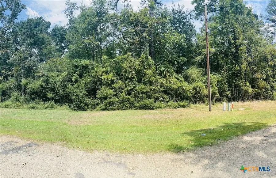 TBD Mistletoe Street, Onalaska, TX 77360 - #2