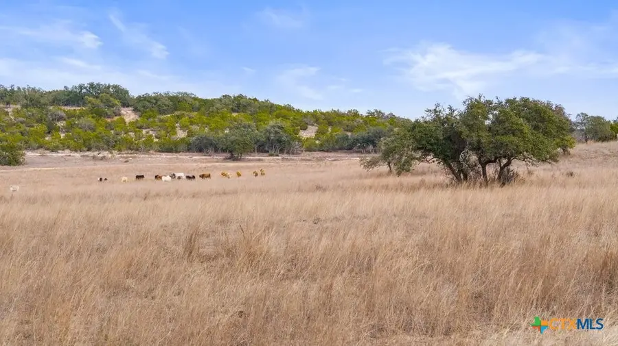 0 Clearwater Grotto, Wimberley, TX 78676 - #2