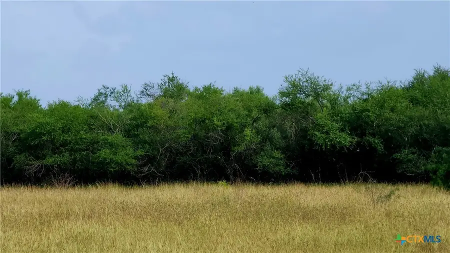 00 San Antonio River Road, Victoria, TX 77905 - #2