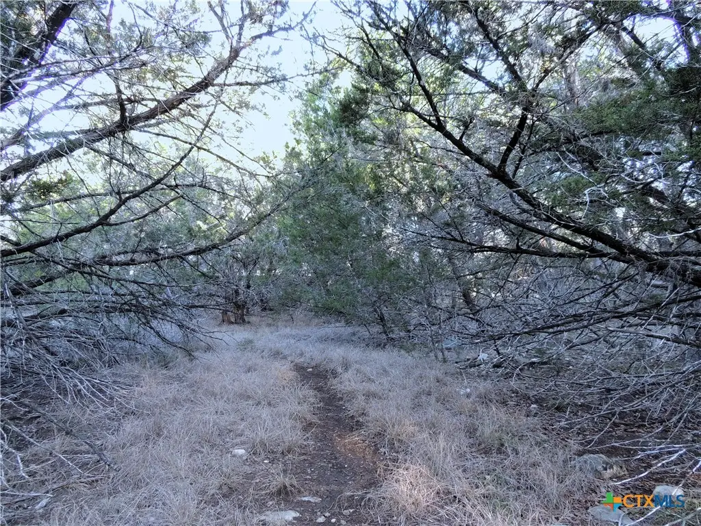 39 Serenade Circle, Wimberley, TX 78676 - #1