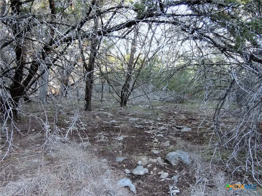 39 Serenade Circle, Wimberley, TX 78676 - #2