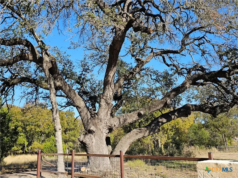 TBD-29.38 Acres Greenbriar Road, Gatesville, TX 76528 - #2