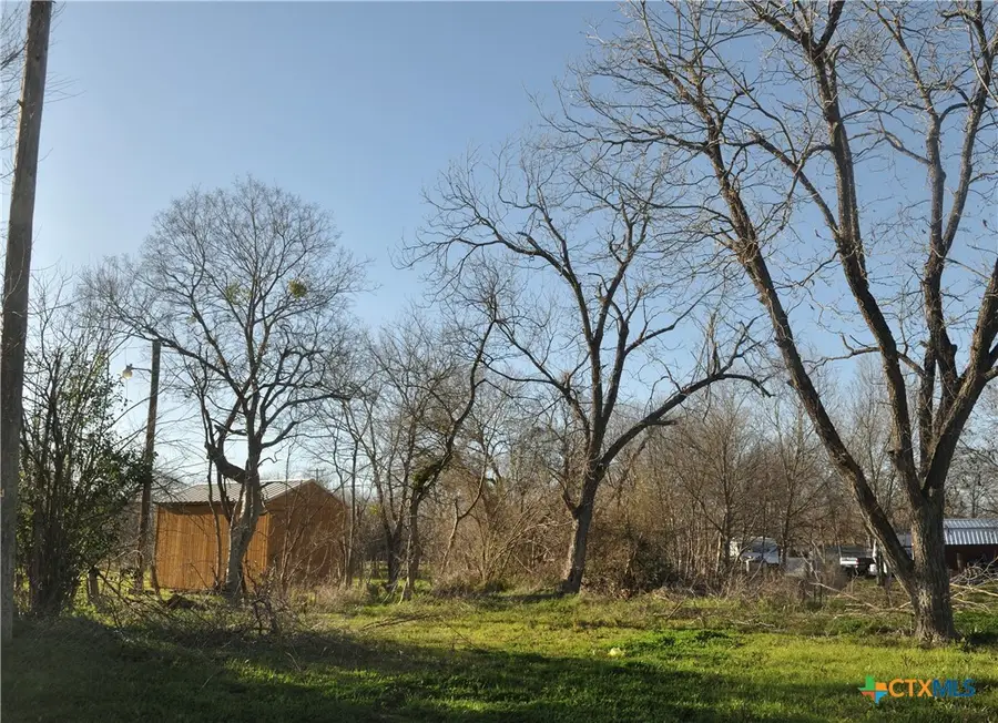 612 Criswell Street, Mart, TX 76664 - #3