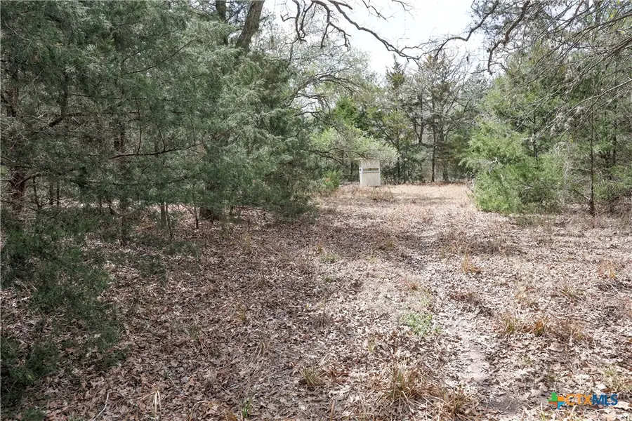TBD Cr 132, Hallettsville, TX 77964 - #2