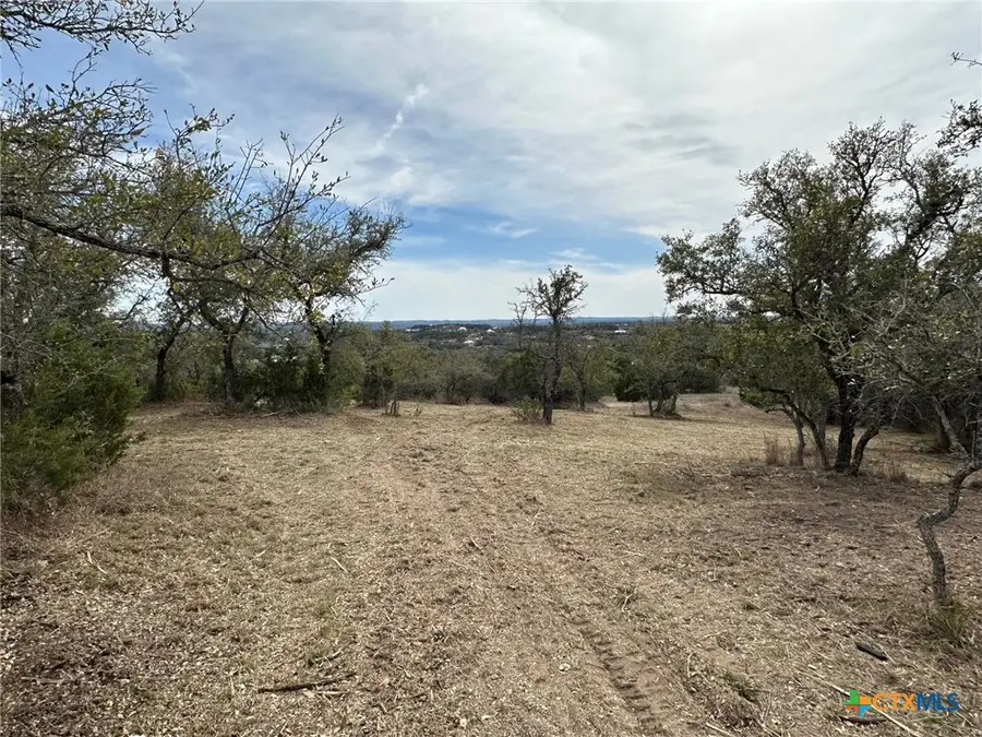 344 Bosque Ridge, Spring Branch, TX 78070 - #3