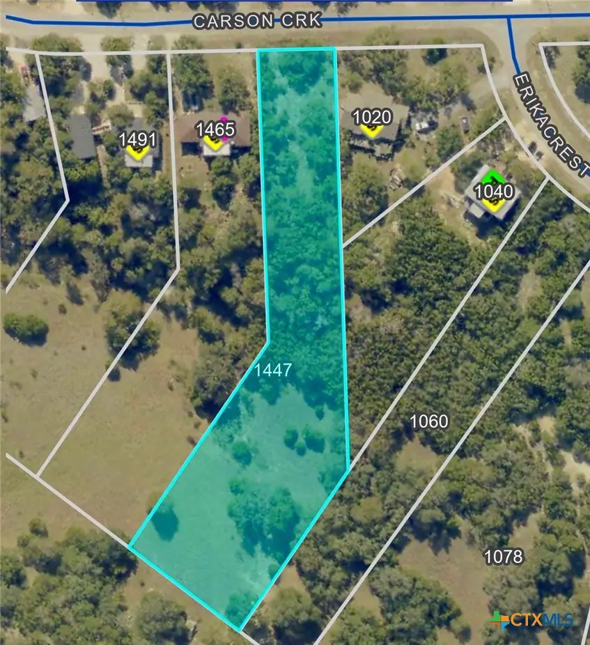 1447 Carson Creek, Canyon Lake, TX 78133 - #2