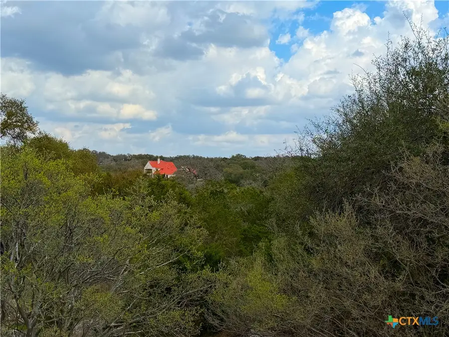 1447 Carson Creek, Canyon Lake, TX 78133 - #3