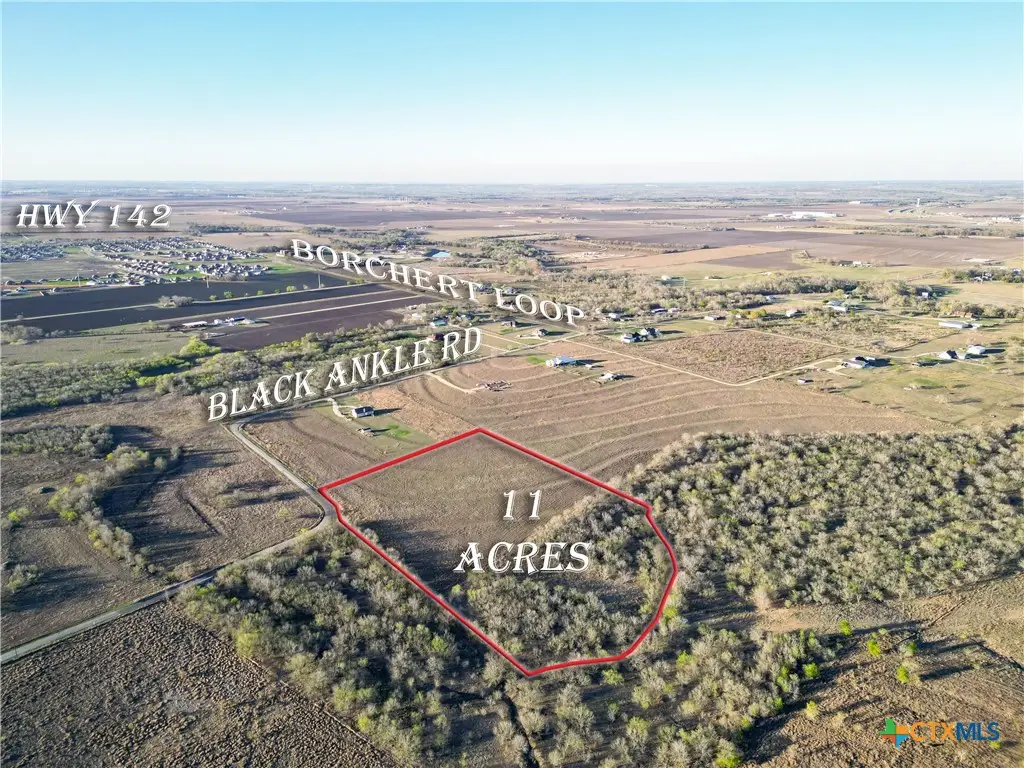 495 Black Ankle Road, Lockhart, TX 78644 - #1