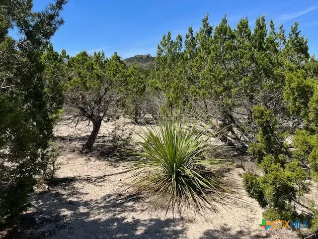 TBD Lakepark Drive, Pipe Creek, TX 78063 - #3