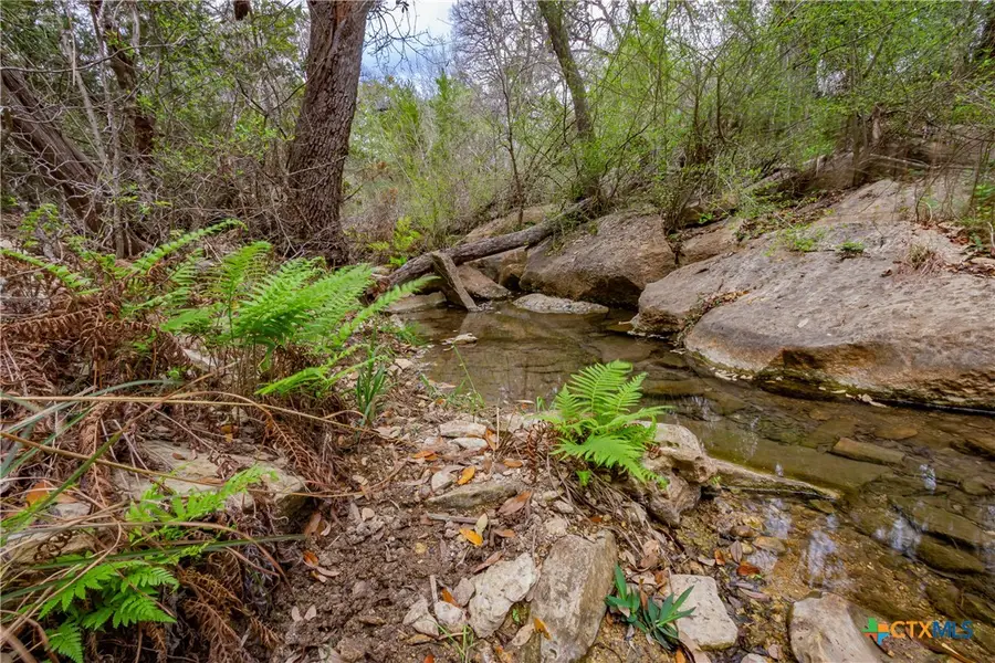 250 Mail Route Road, Fischer, TX 78623 - #2