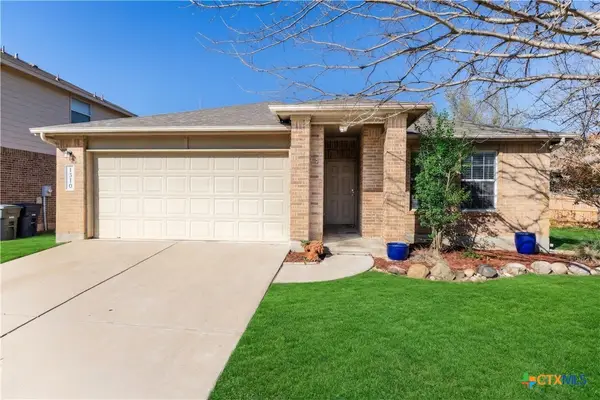 1310 Grande Mesa Drive, Georgetown, TX 78626