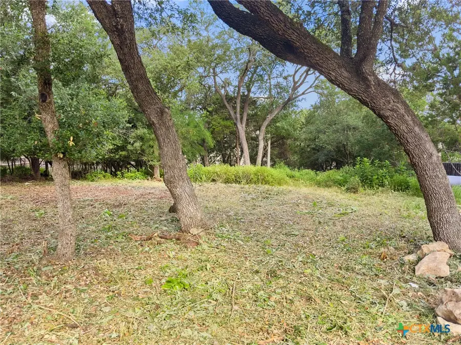 105 Yaupon Court, San Marcos, TX 78666 - #3