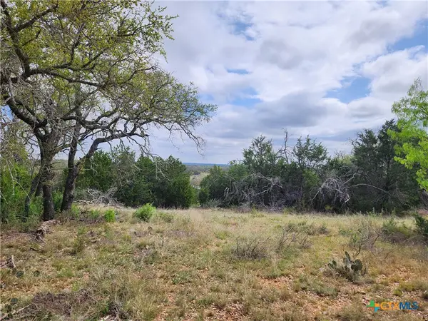 TBD County Road 402, Goldthwaite, TX 76844