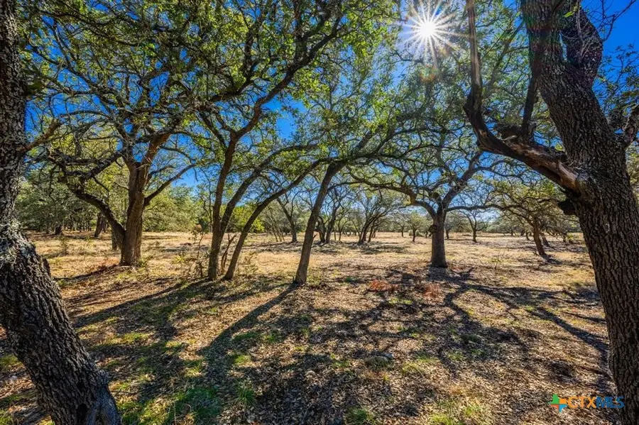 4772-1 County Road 340, Burnet, TX 76905 - #3