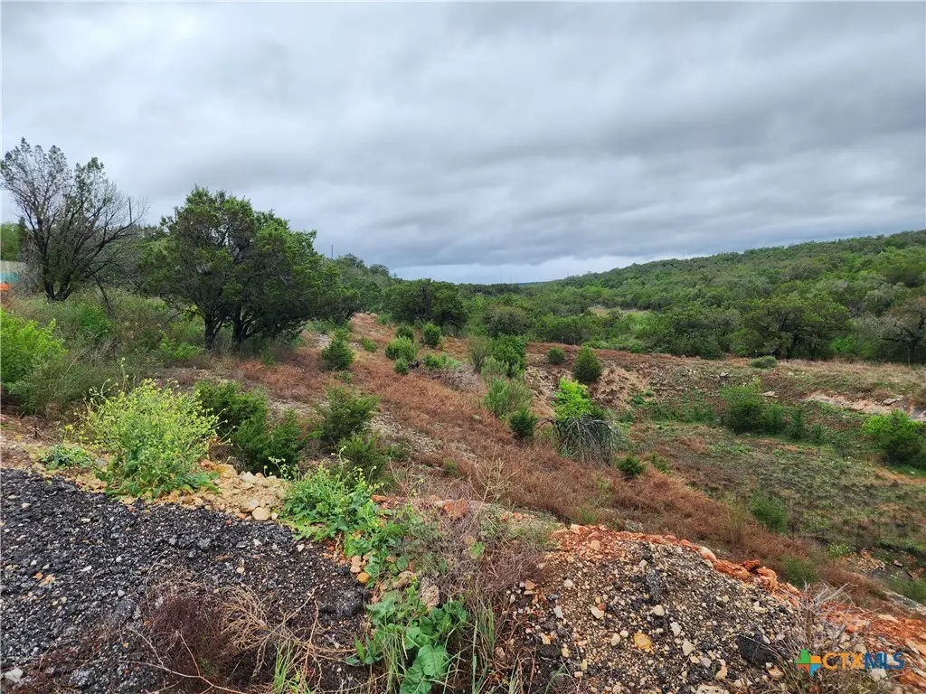 3385 Fulton Ranch Road, Wimberley, TX 78676 - #1