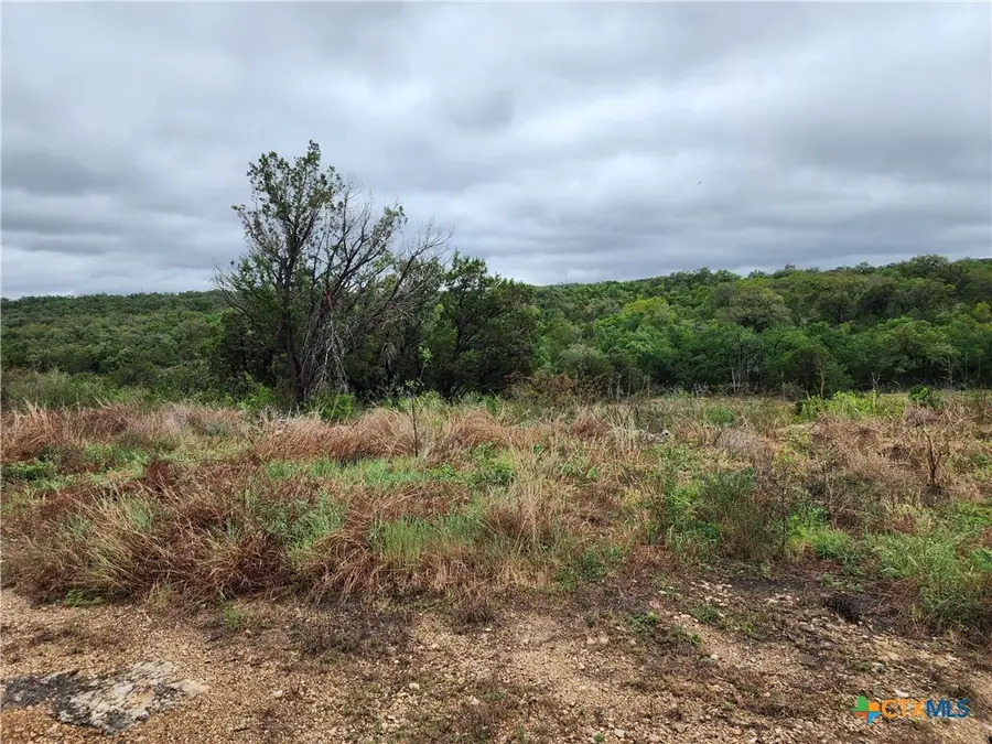 3385 Fulton Ranch Road, Wimberley, TX 78676 - #3