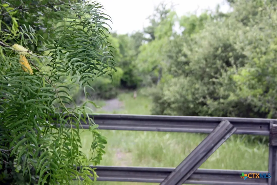 7887 Pettytown Road, Red Rock, TX 78662 - #1