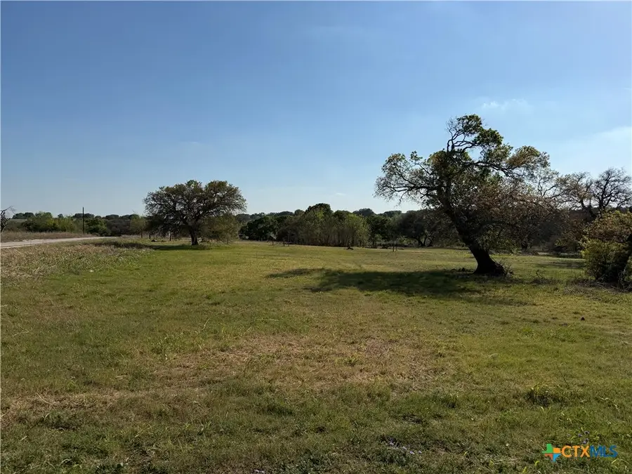 118 Guadalupe Drive, Oglesby, TX 76561 - #3